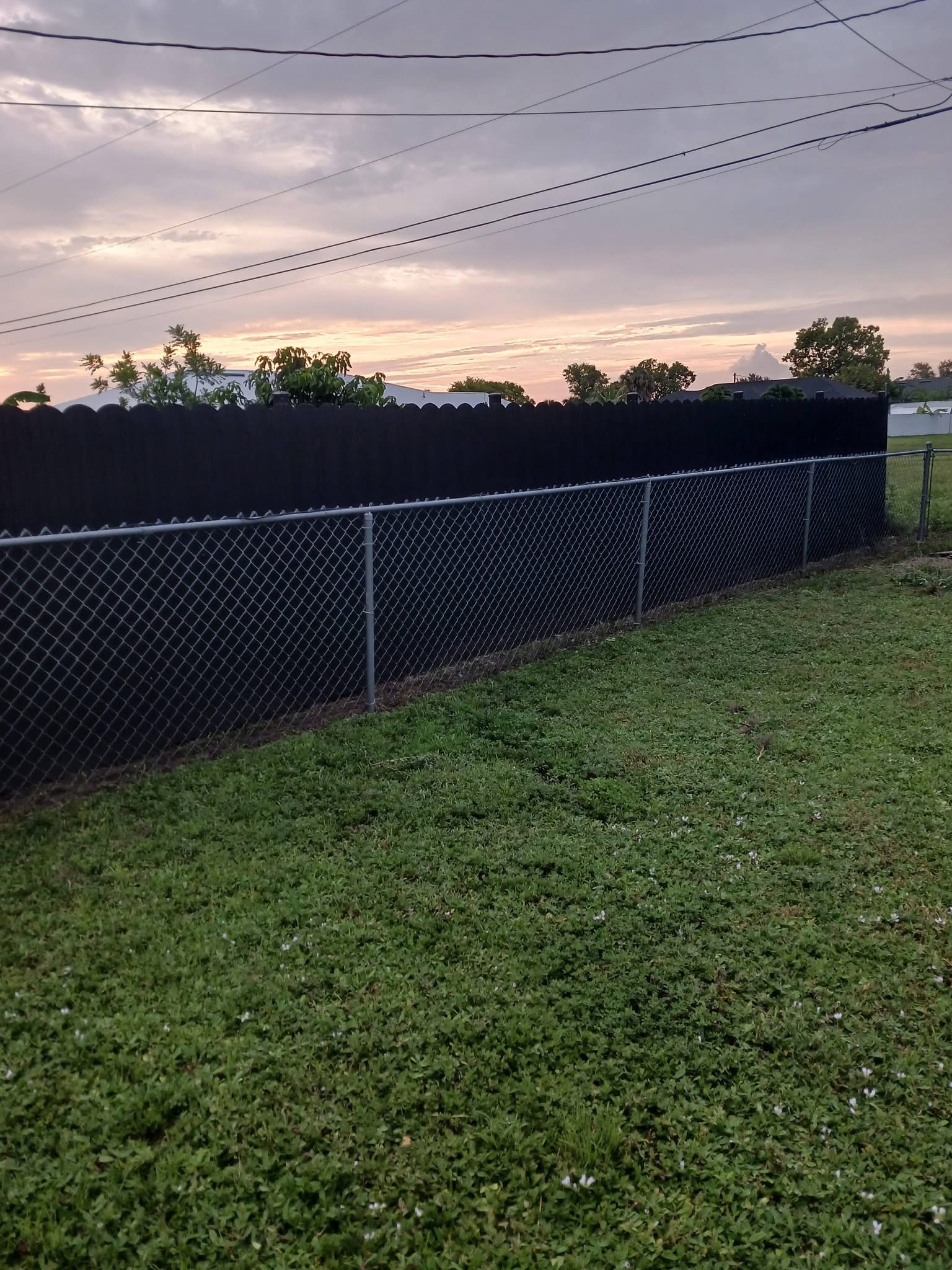Fence line after cleanup