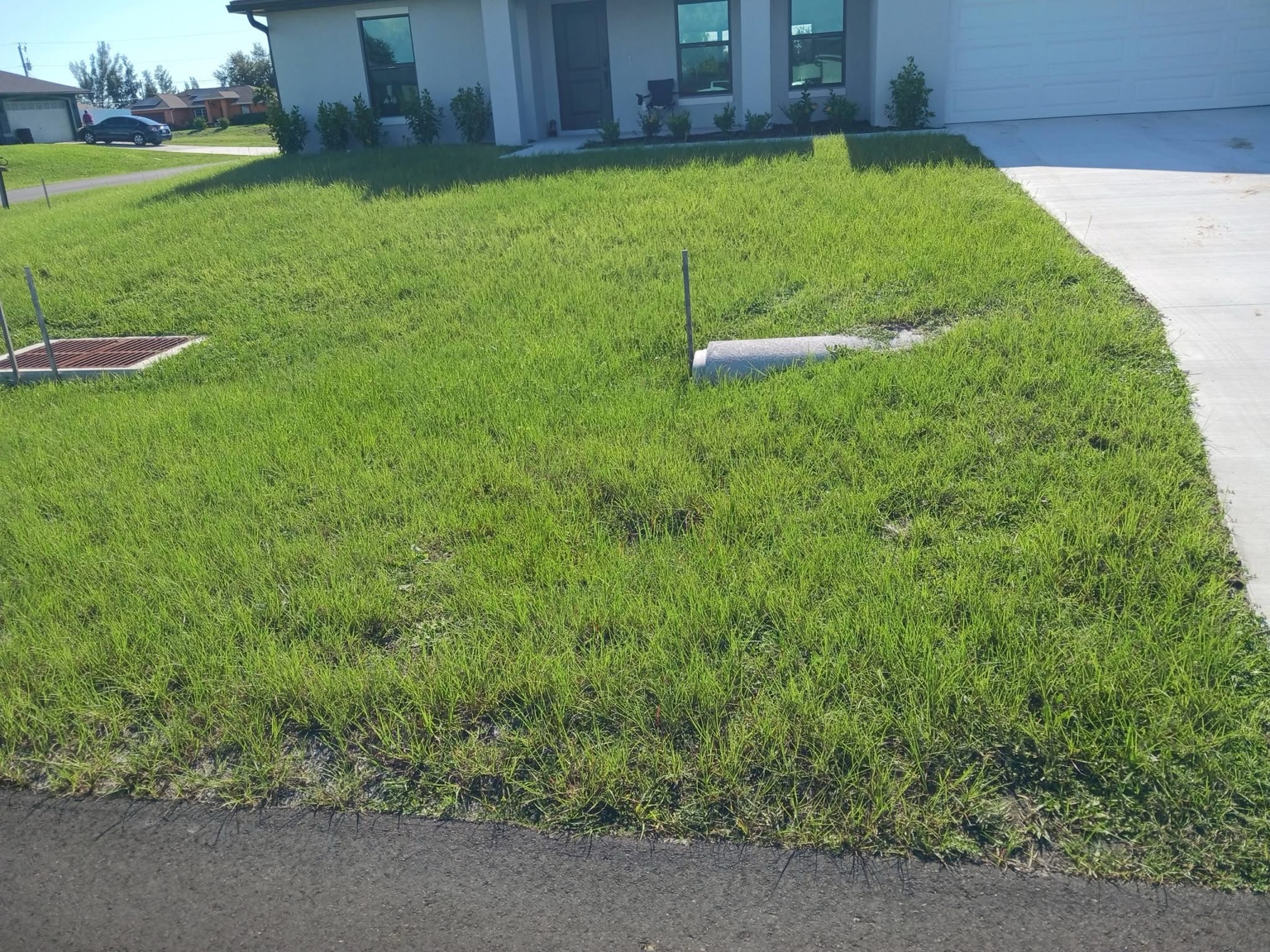 Lawn after service
