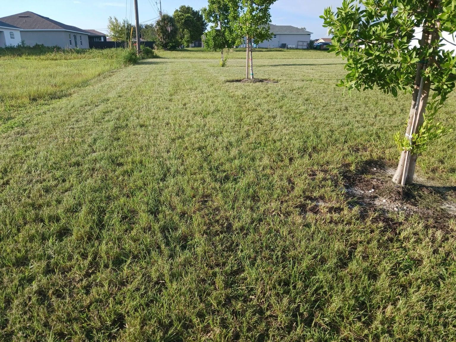 Property edge after cleanup